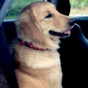 Meet your Posher, Tofu